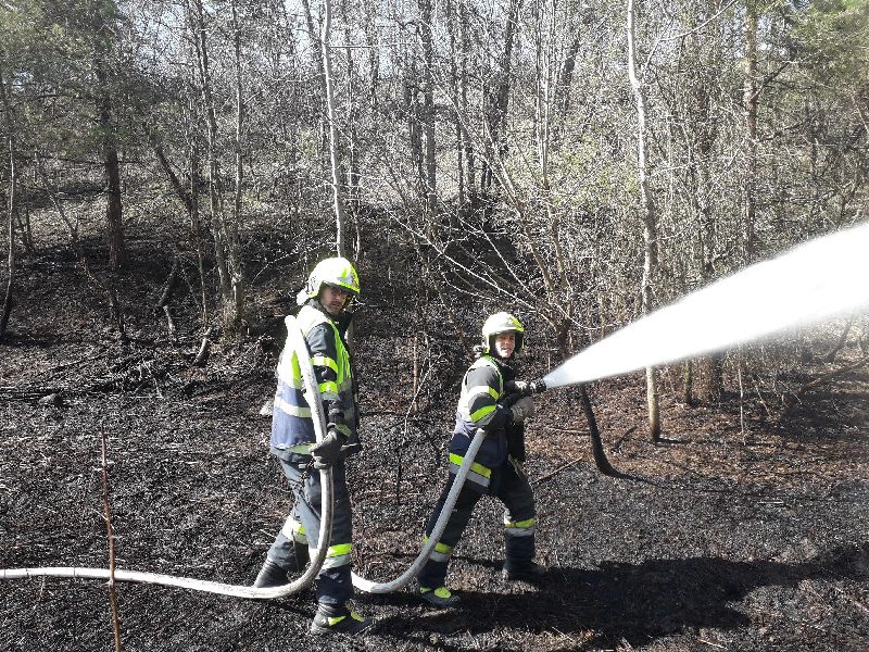 Wald-/Wiesen -brand (Bild 1)